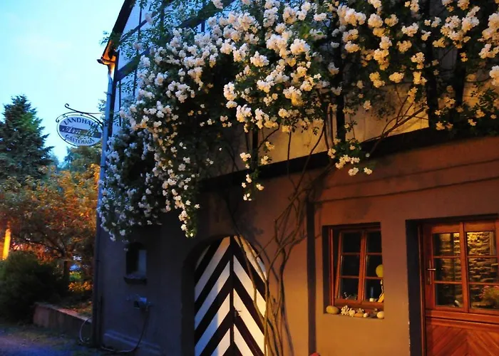 Otel Arnoth Kleinich